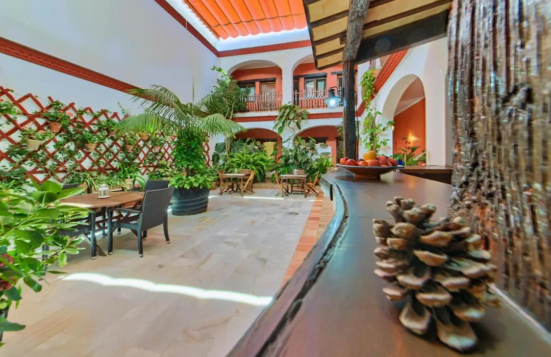 Hotel Pozo Rey-1