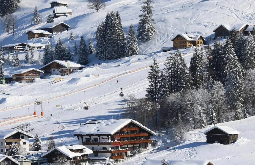 Hotel Almhof-1