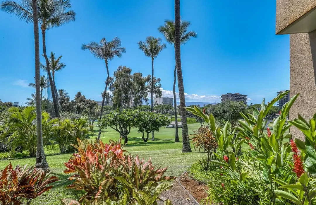 Kaanapali Royal L102-1