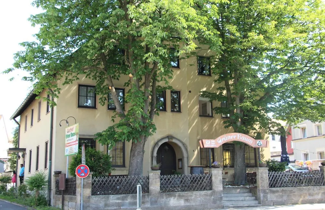 Gasthof Gruner Baum-1