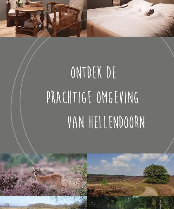 Bed&Breakfast Hellendoorn-1