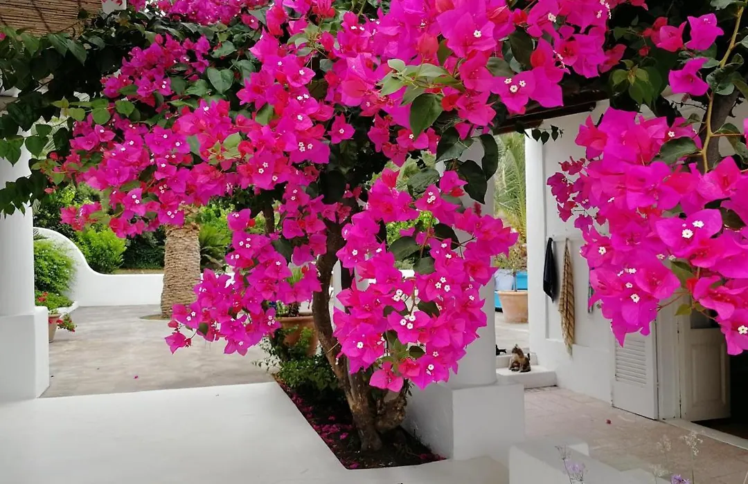 Casa Carlotta-1