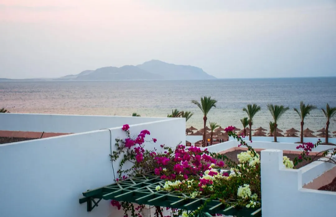 Coral Beach Resort Montazah (Adults Only)-1