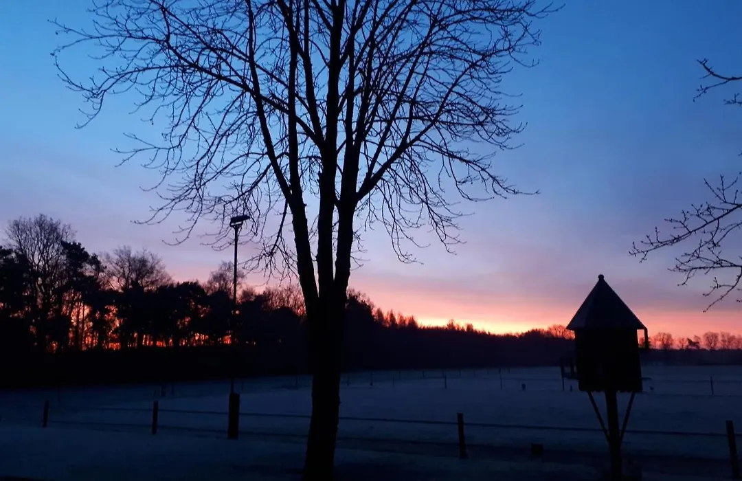 De Hammerhoeve-1