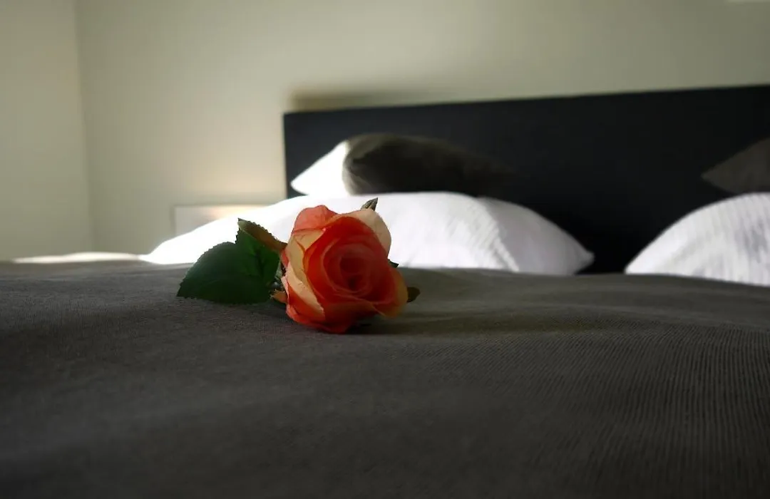 Lutz Motel-1