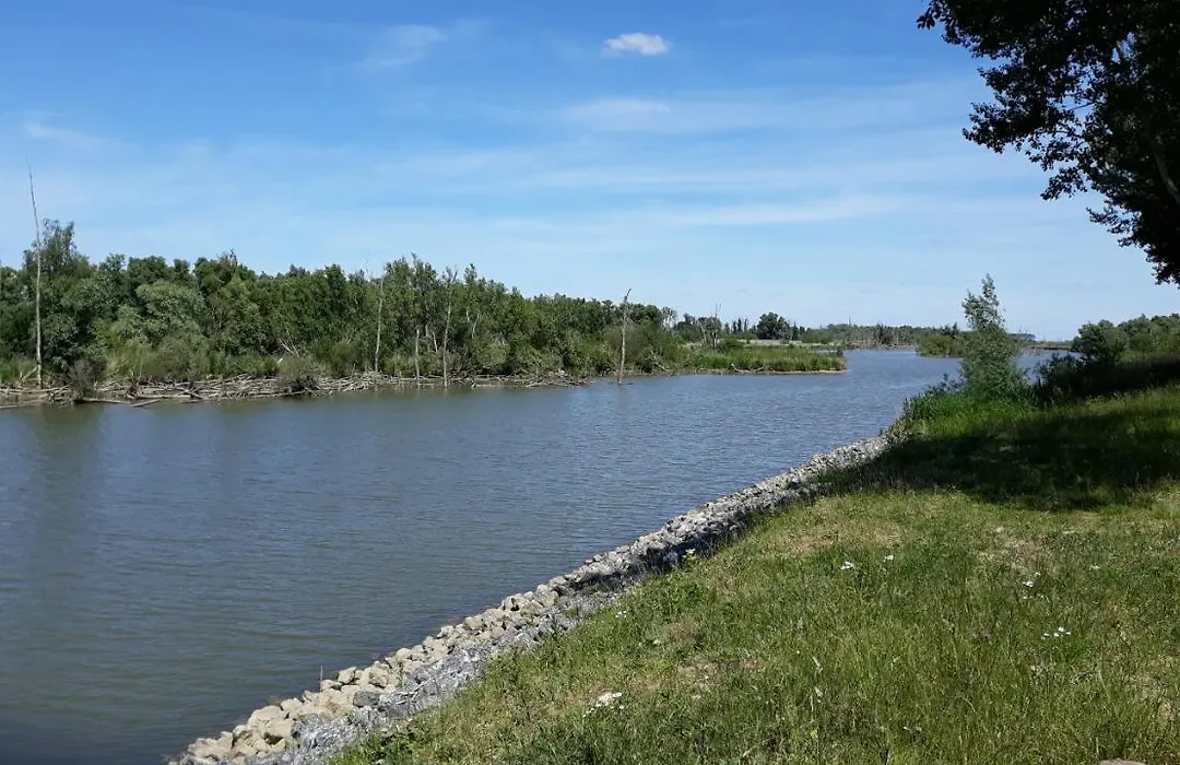 Biesbosch Bed&Breakfast Werkendam-1