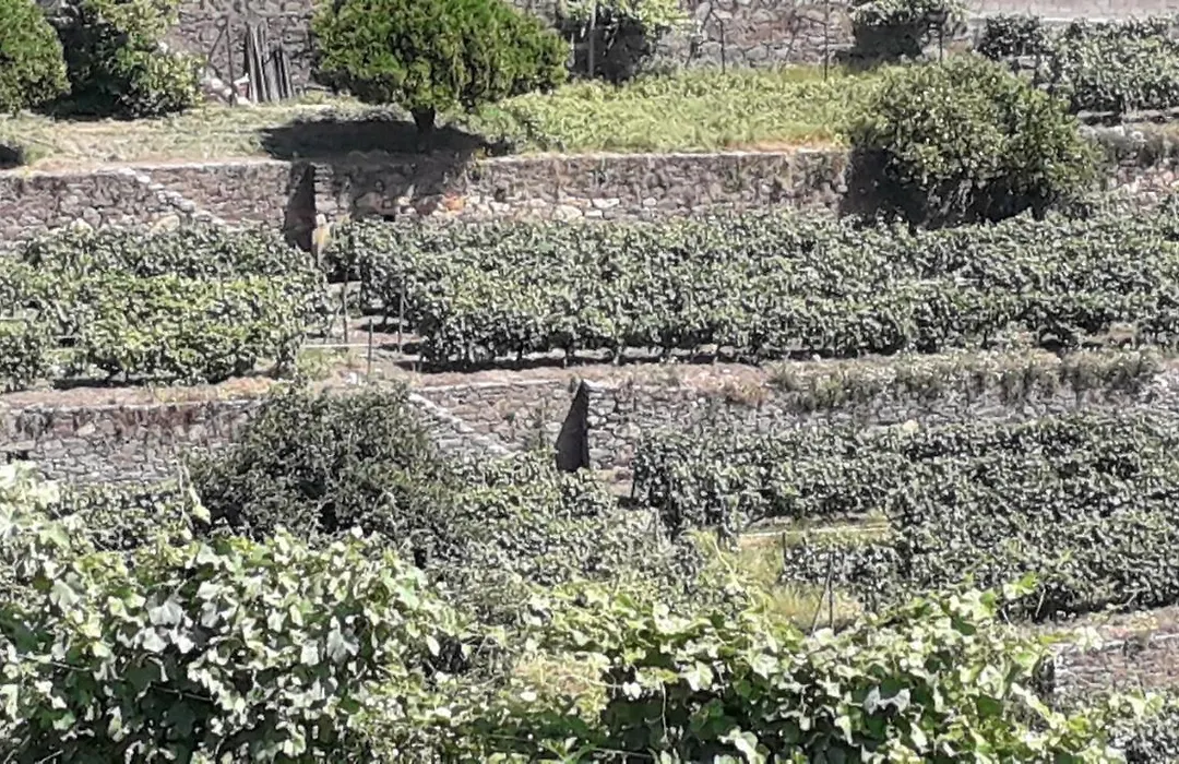 Mito'S House & Douro View-1