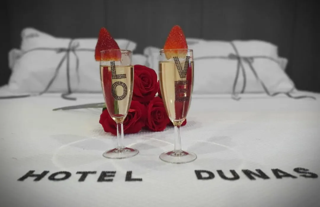 Hotel Dunas D'Ovar-1