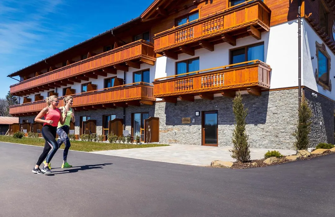 Steig-Alm Hotel Superior-1