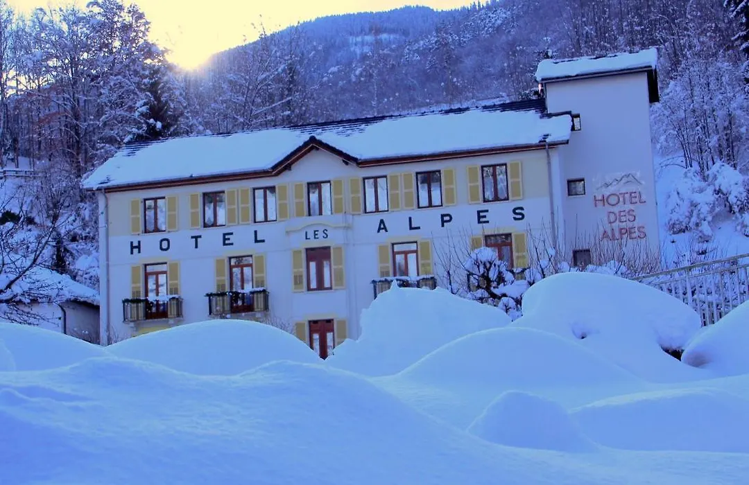 Hotel des Alpes-1