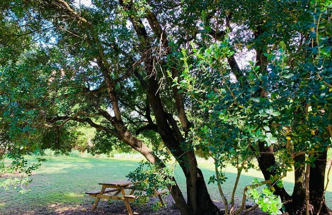 Domaine Des Ondes-1