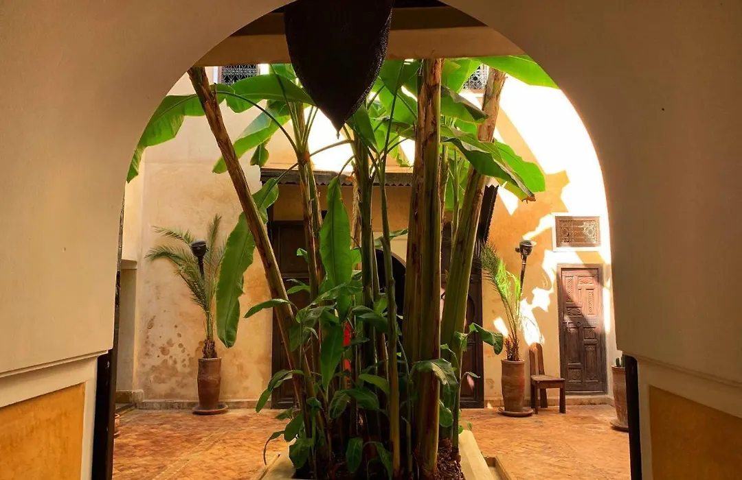 Riad Bamileke-1