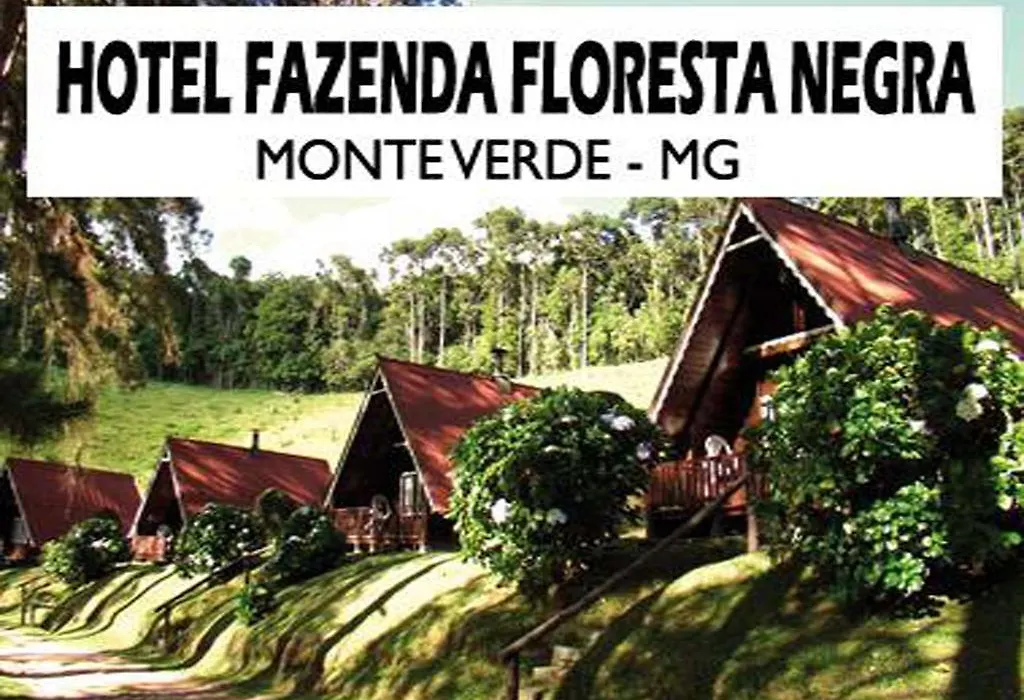 Hotel Fazenda Floresta Negra-1