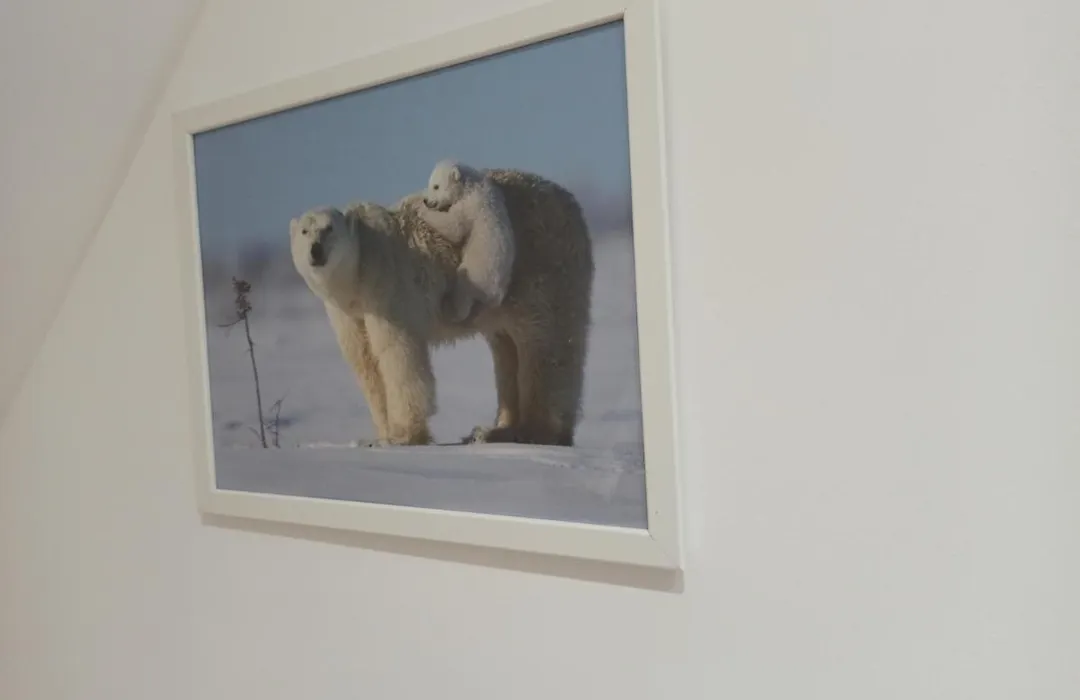 A 4 min du Zoo de Beauval La Maison à Partager Ch4 2ème étage-1