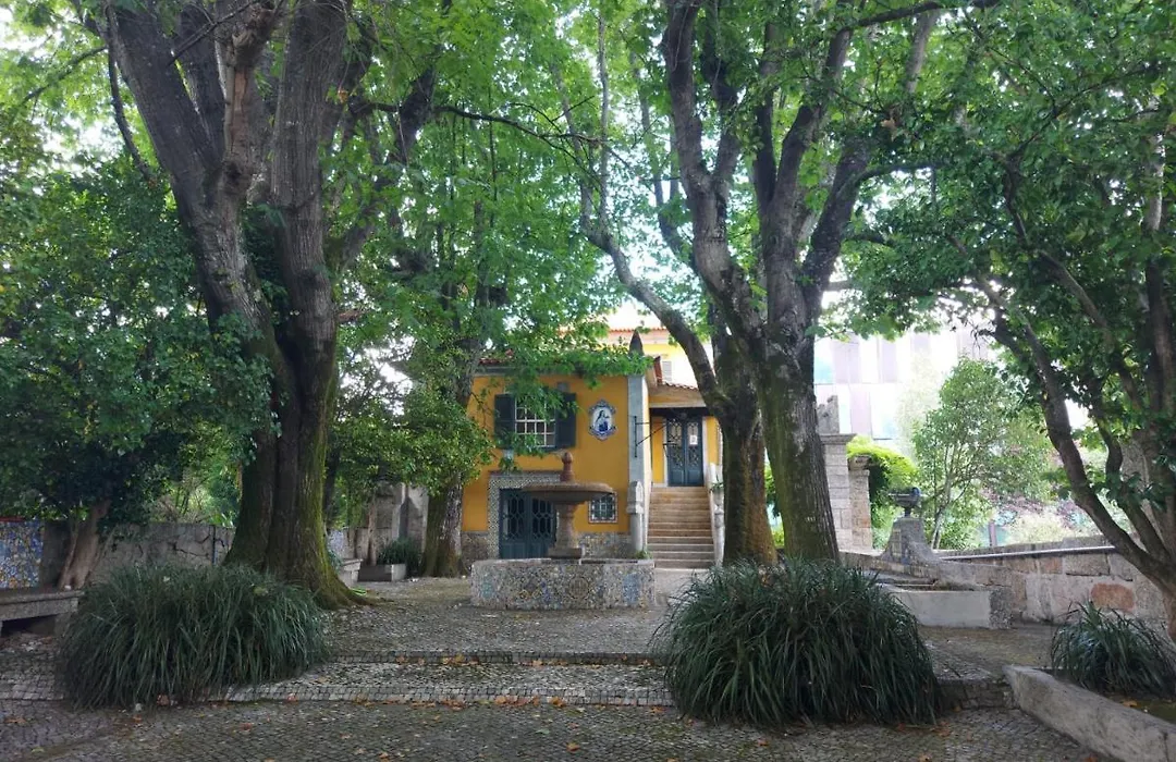 Camelia Rooms-1