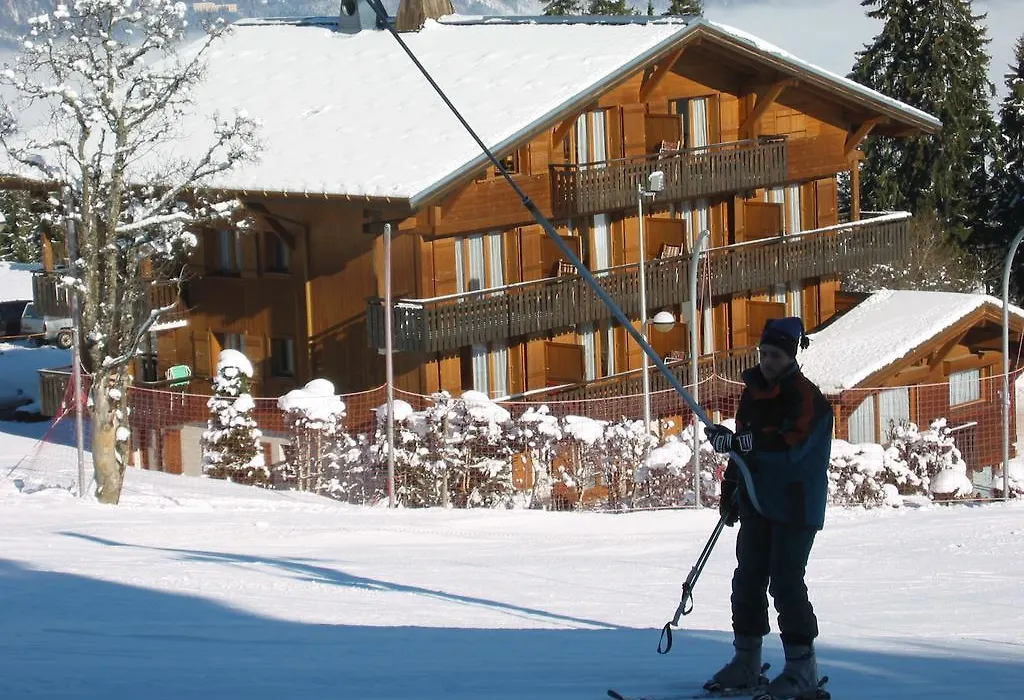 Chalet Gabriel-1