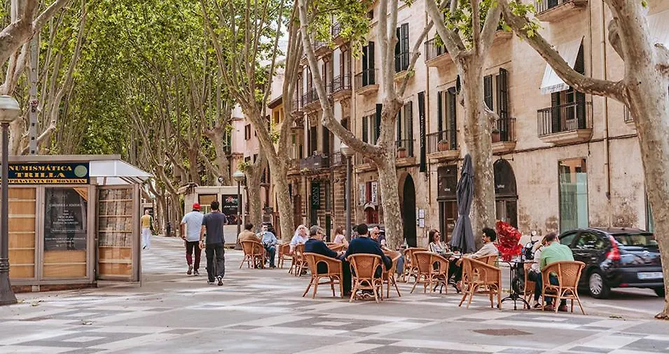 Rambla Palma Center-1