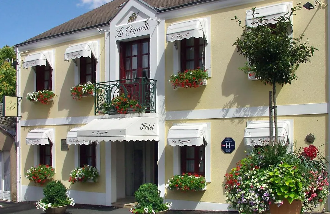 HOTEL LA COGNETTE A 25 Kilomètres de Châteauroux et 30 Kilomètres de Bourges-1