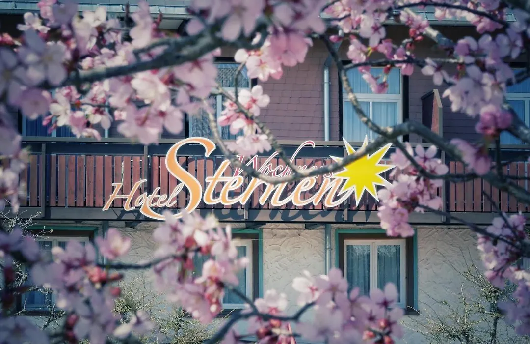 Wochner's Hotel-Sternen Am Schluchsee Hochschwarzwald-1