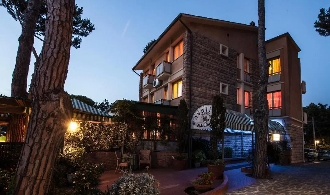 Hotel Il Cavaliere Nero-1