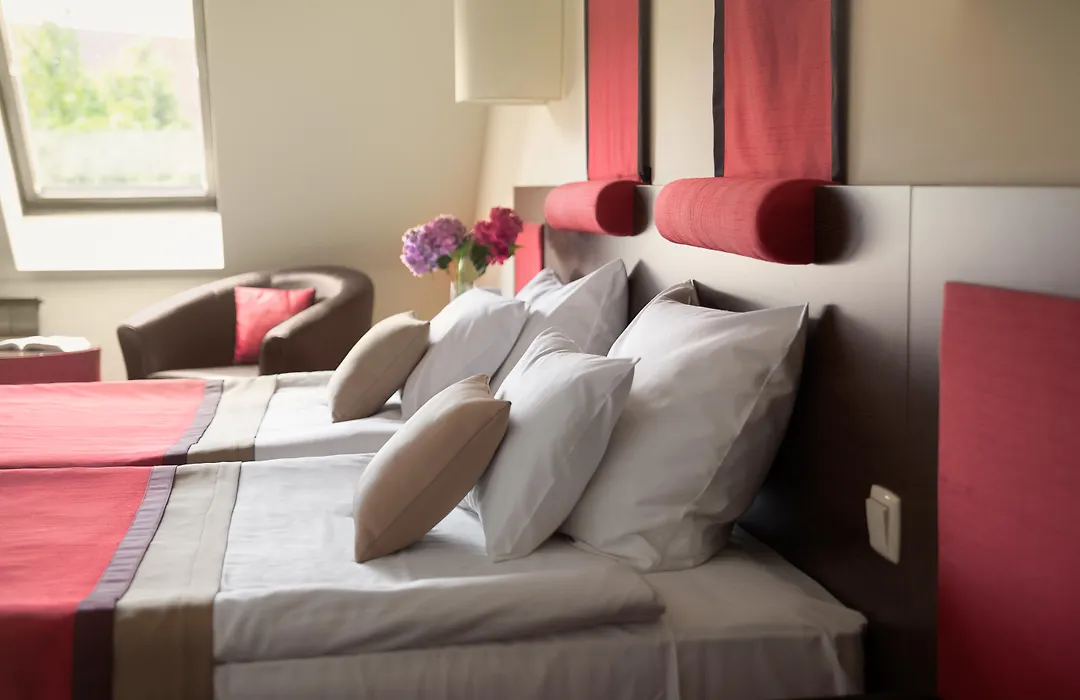 Rubin Wellness&Conference Hotel-1