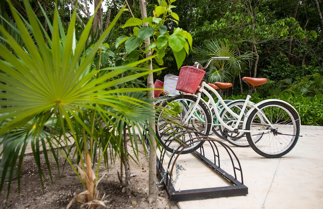 Naay Tulum Curamoria Collection-1