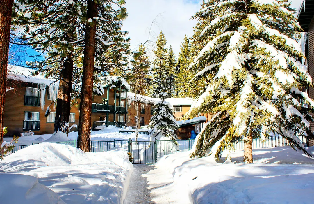 Forest Suites Resort At The Heavenly Village-1