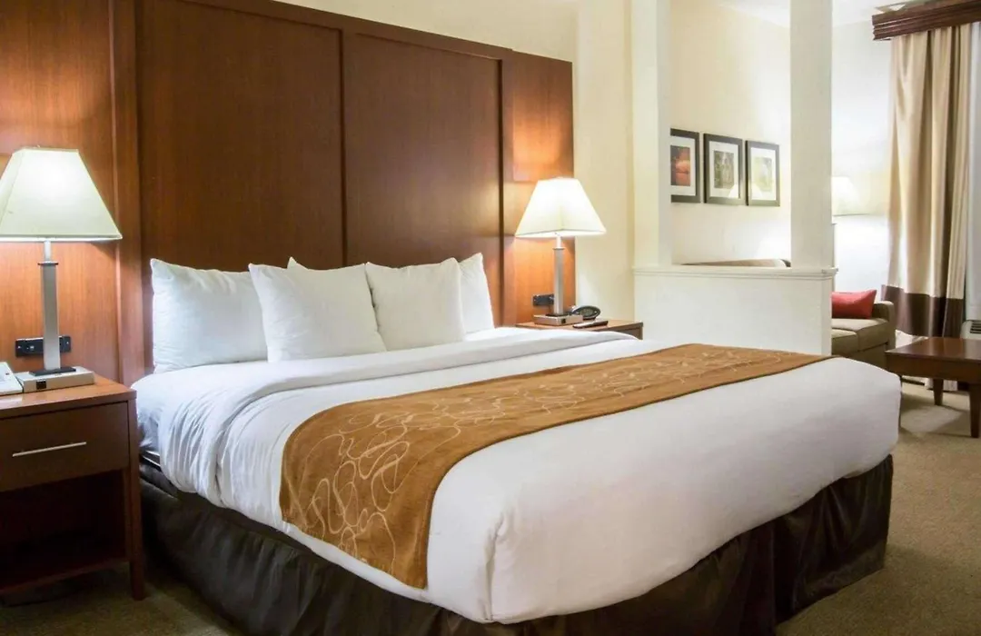 Comfort Suites Cumming-Atlanta Near Northside Hospital Forsyth-1
