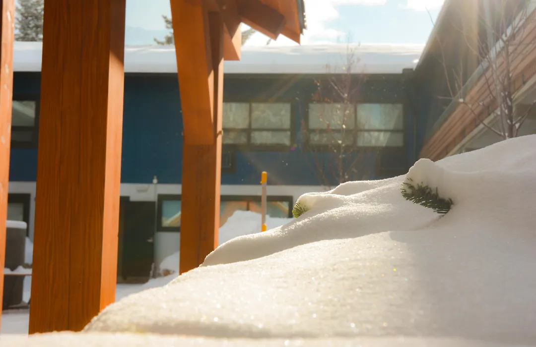 The Dorothy Motel-1