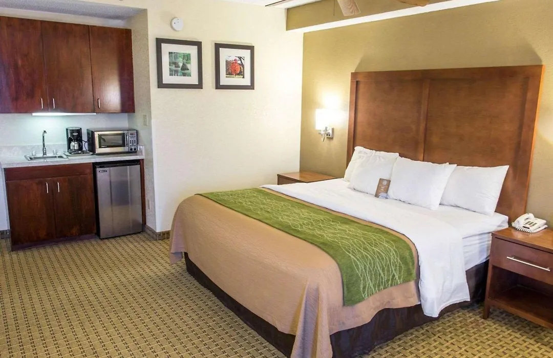 Comfort Inn Hammond-1