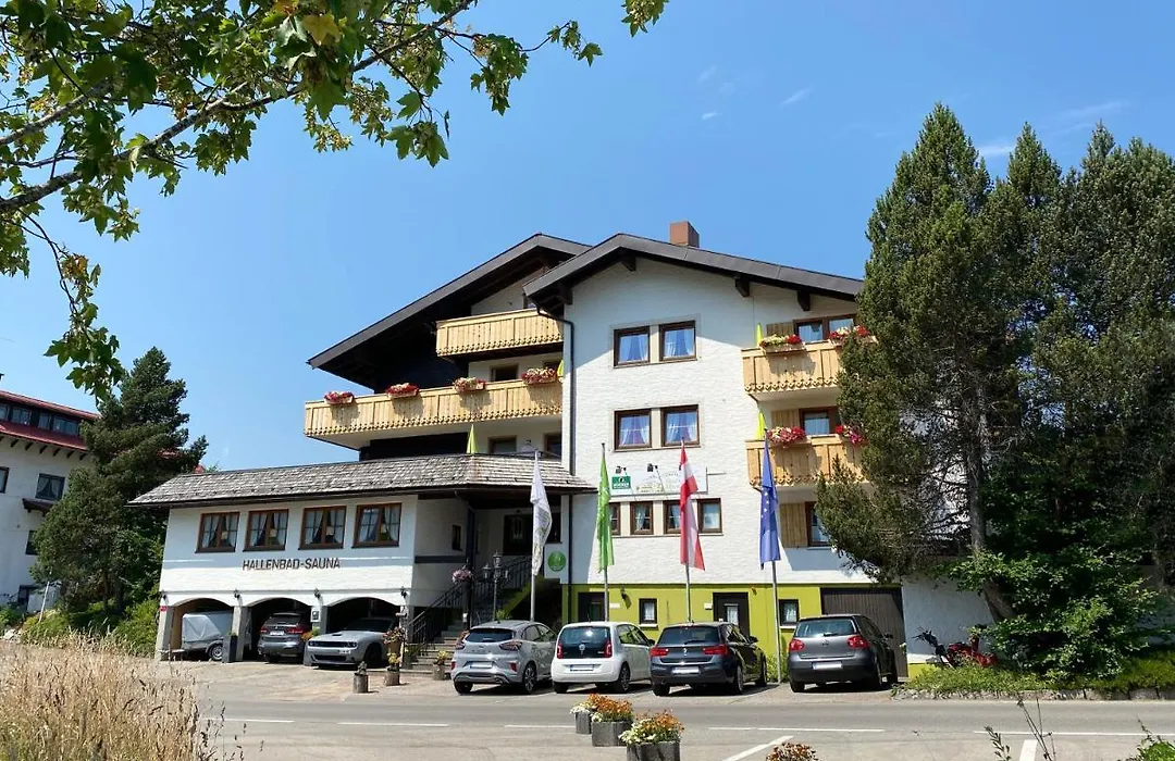 Hotel Alpensonne-1
