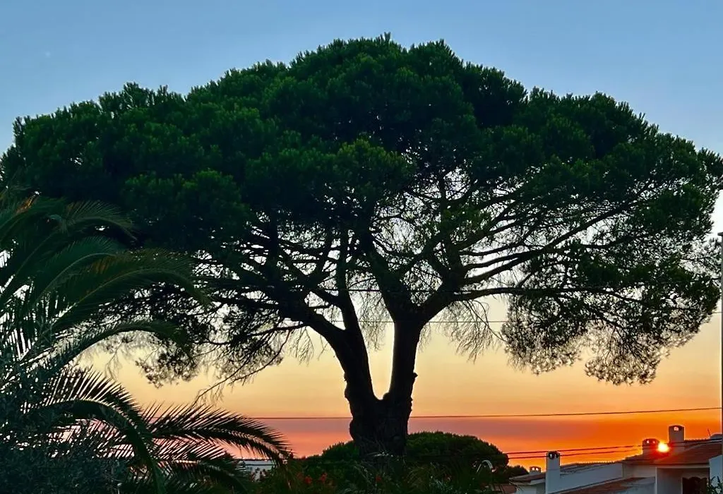 Vila De Sol-1