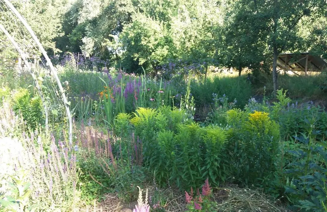 De Geheime Tuin - Boshuis-1