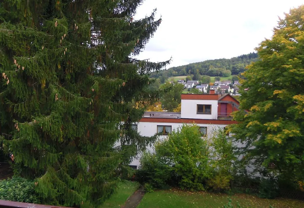 Hotel Salinenblick-1