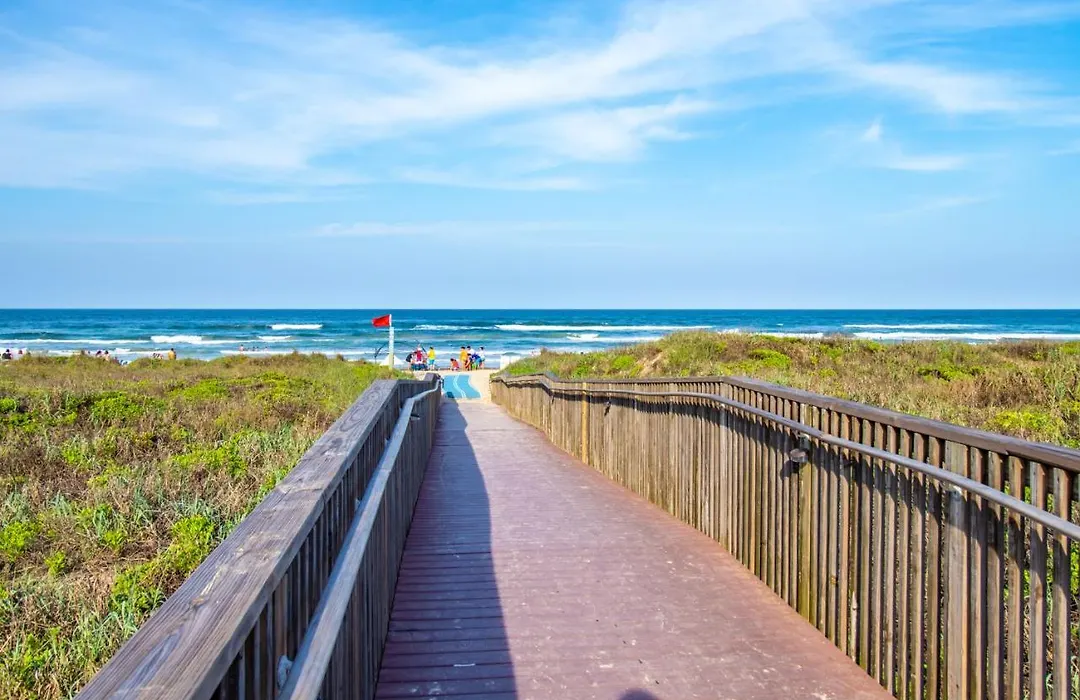 Seagull'S Landing By The Ocean-1