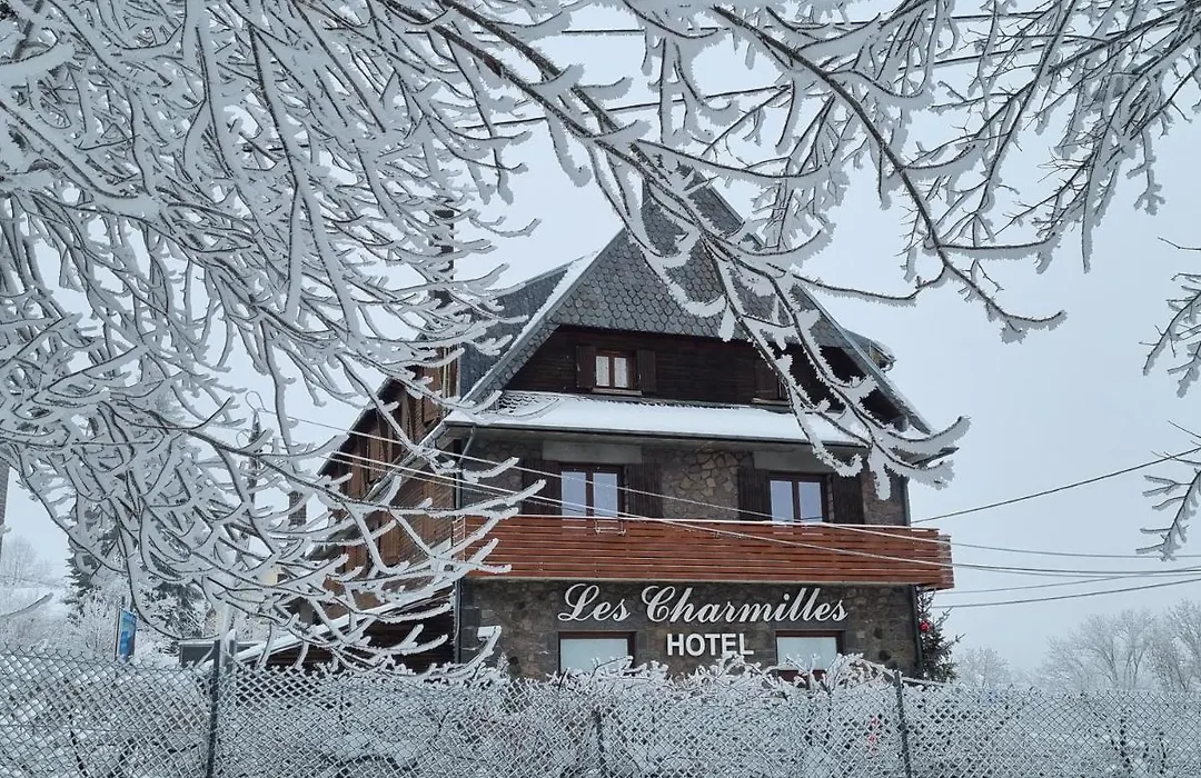 Hôtel Les Charmilles-1