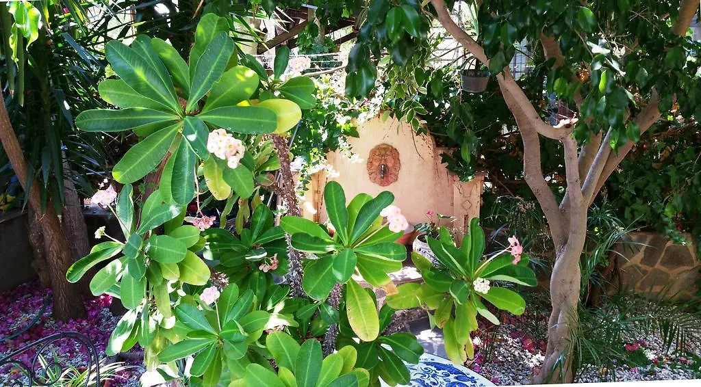 B&B Le Terrazze-1