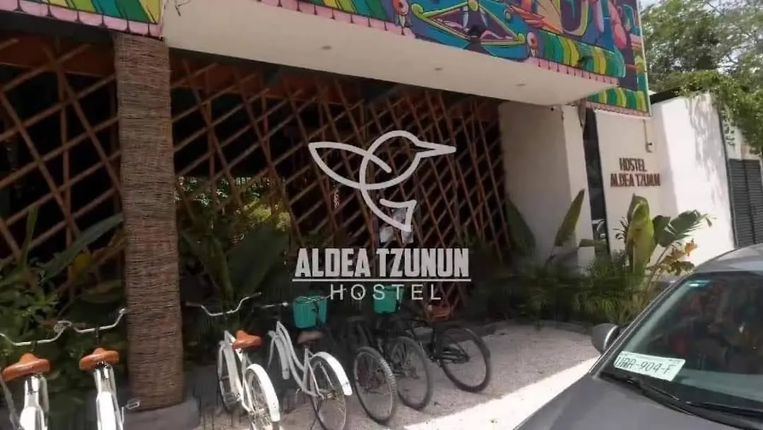 Aldea Tzunun-1
