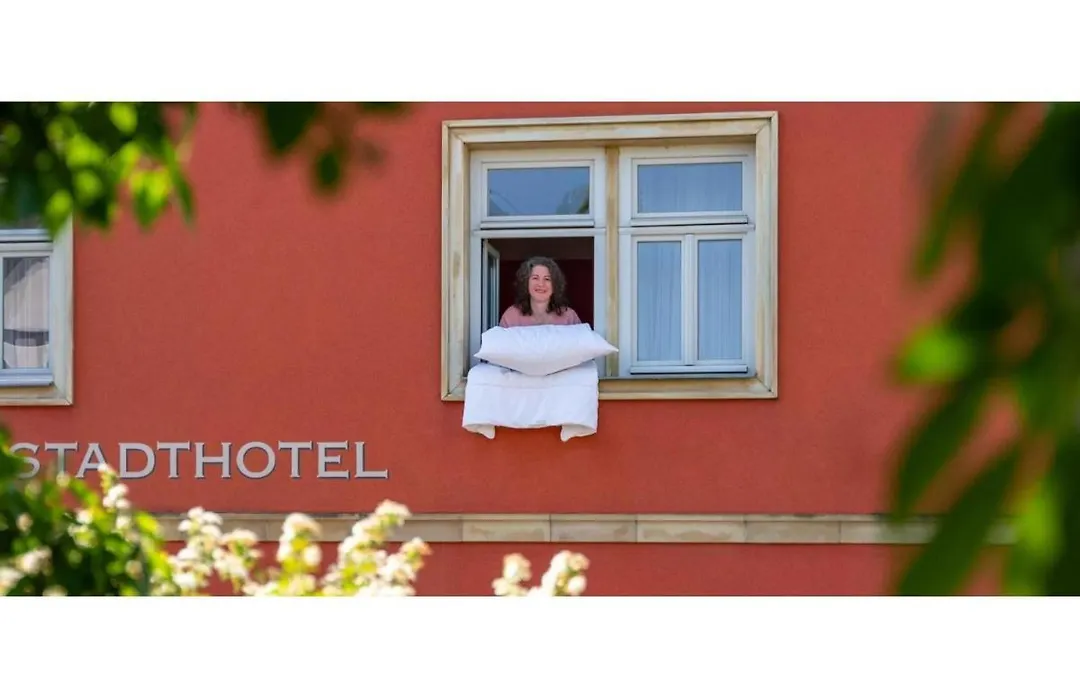 Biobausewein WEIN HOTEL LEBEN-1