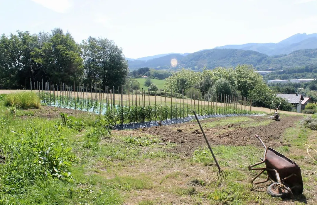 Caserio en Zona Rural Istilla-1