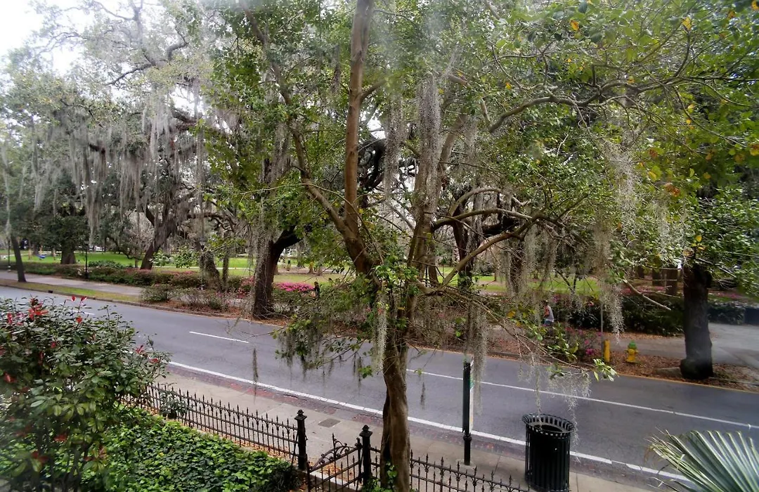 Forsyth Park Inn-1