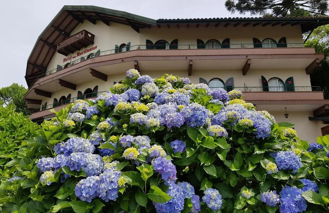Hotel das Hortênsias-1