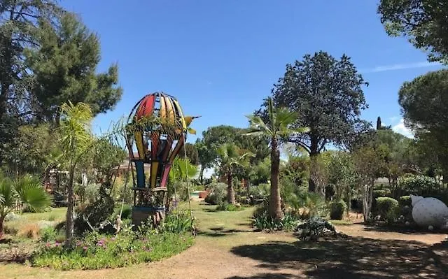 La cactée singulière-1