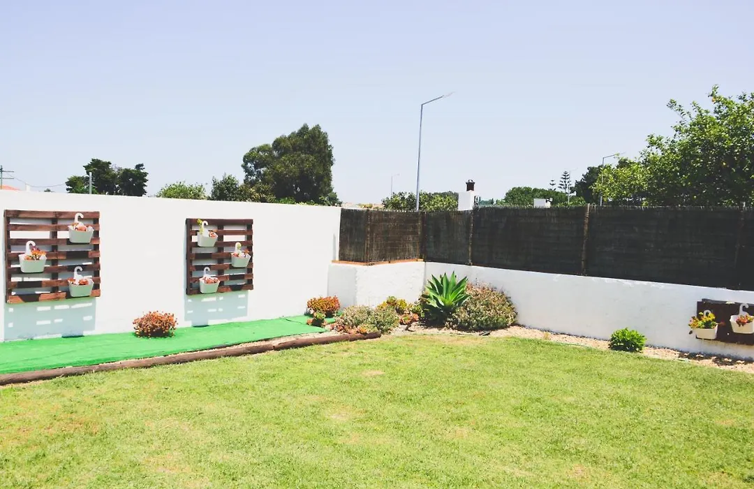 Tree House - Casa Figueira-1