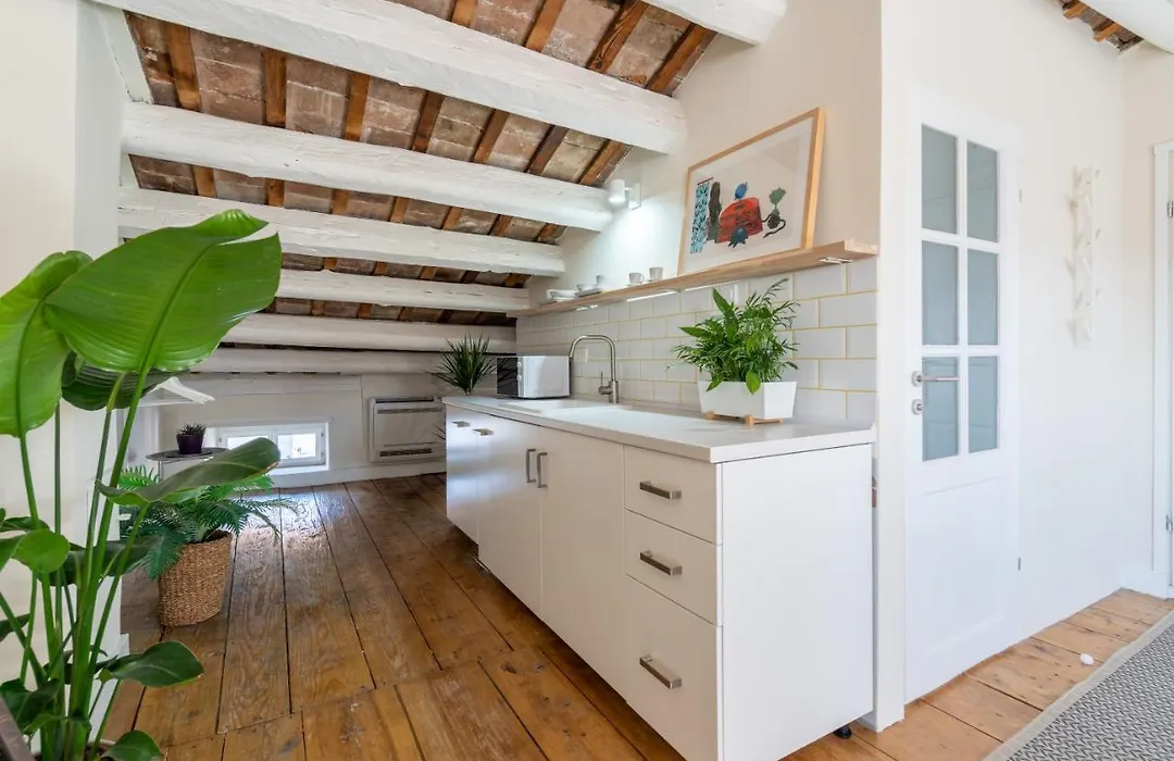 Apartments & Rooms Carera 6-1