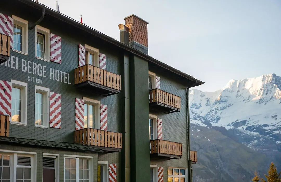 Hotel Drei Berge-1