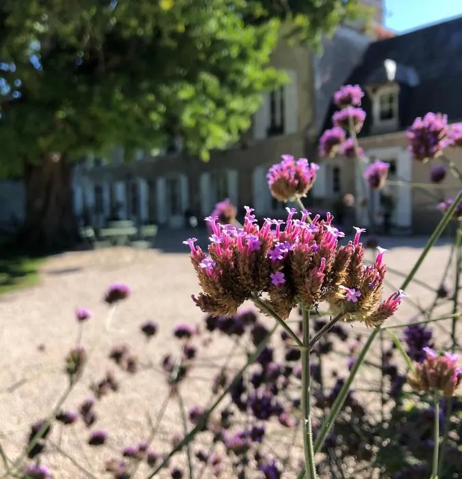 Domaine Saint-Hilaire-1
