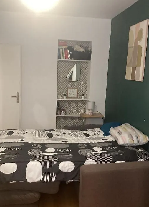 Chambre En Appartement Haussmannien En Centre Ville-1