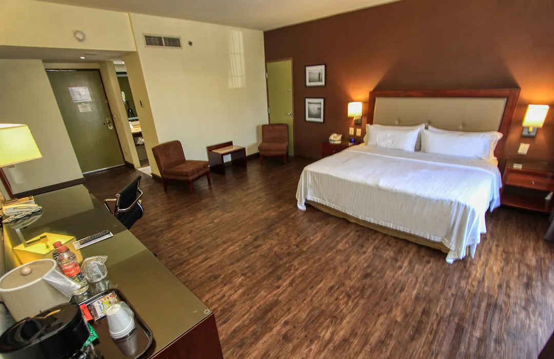 Holiday Inn Leon By Ihg-1