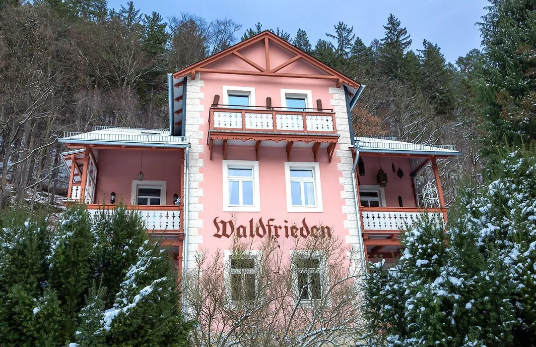 Bio-Hotel Villa Waldfrieden-1